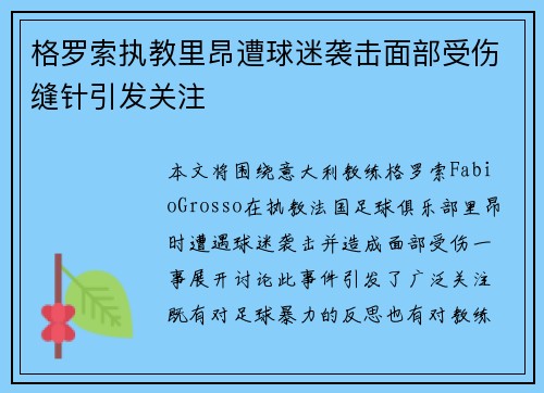 格罗索执教里昂遭球迷袭击面部受伤缝针引发关注